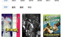 追风视频,捕捉时代脉搏，展现青春风采