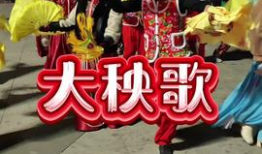 东北大秧歌视频,欢腾冬日盛宴