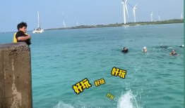 海边视频,海边视频中的自然画卷